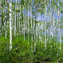 George H. Rothacker - Utah - Field of Aspens