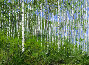 George Rothacker - Utah - Field of Aspens