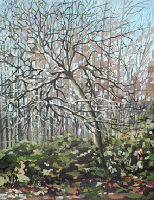 George H. Rothacker - Main Line - Winter Dogwood